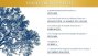 DHLF presse citations